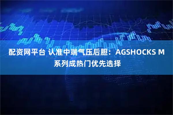 配资网平台 认准中端气压后胆：AGSHOCKS M 系列成热门优先选择