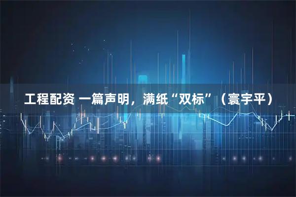 工程配资 一篇声明，满纸“双标”（寰宇平）