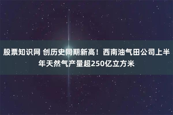 股票知识网 创历史同期新高！西南油气田公司上半年天然气产量超250亿立方米